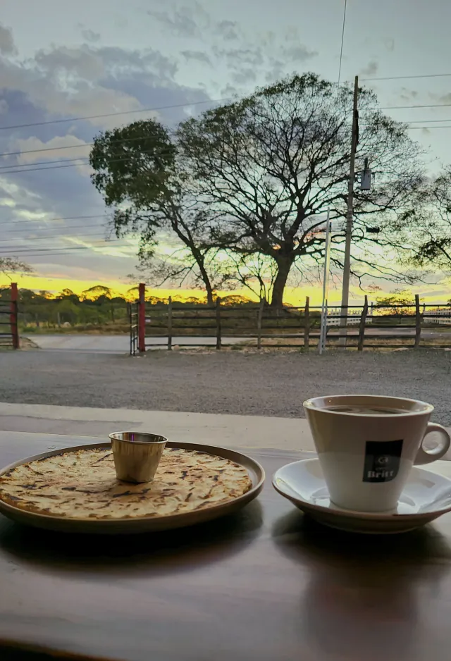 Foto de TORTILLA ALINADA de Rancho Mandy's